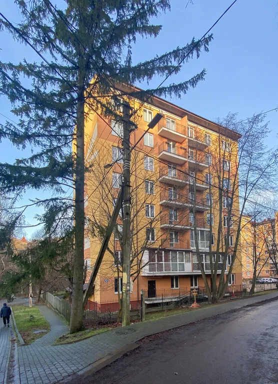 Квартира 1-комнатная Квартира — Светлогорск