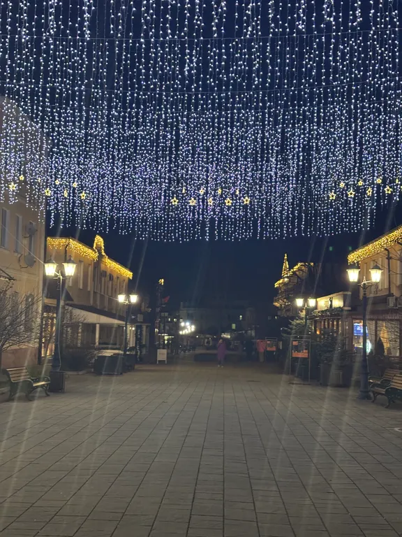 Шикарная квартира в центре с видом на бульвар и прямым выходом в парк — аренда посуточно в Нальчик