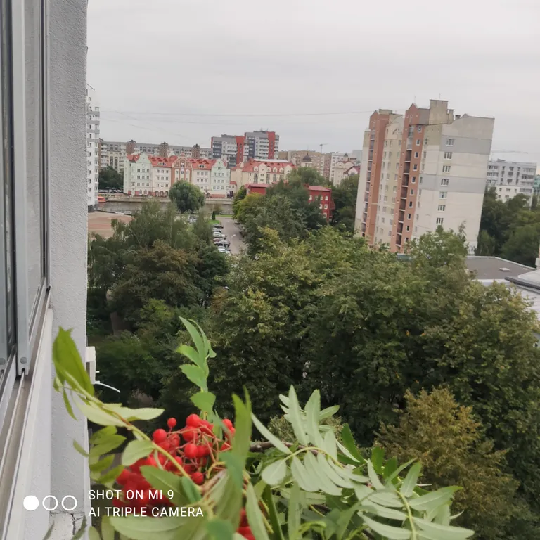 Квартира Квартира Гармония на берегу Рыбной Деревни — Калининград