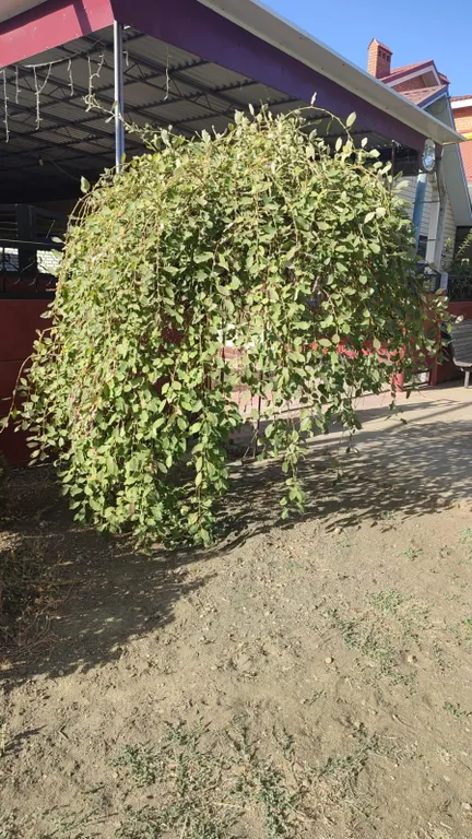 Квартира в курортной части города