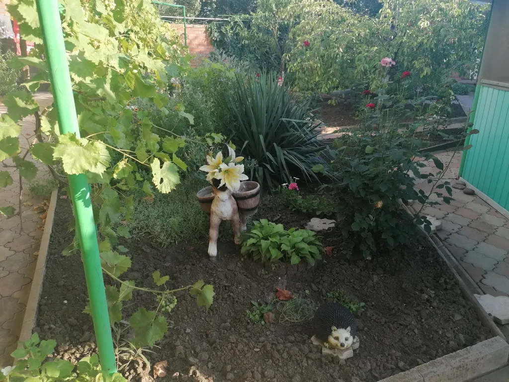 Домик у моря