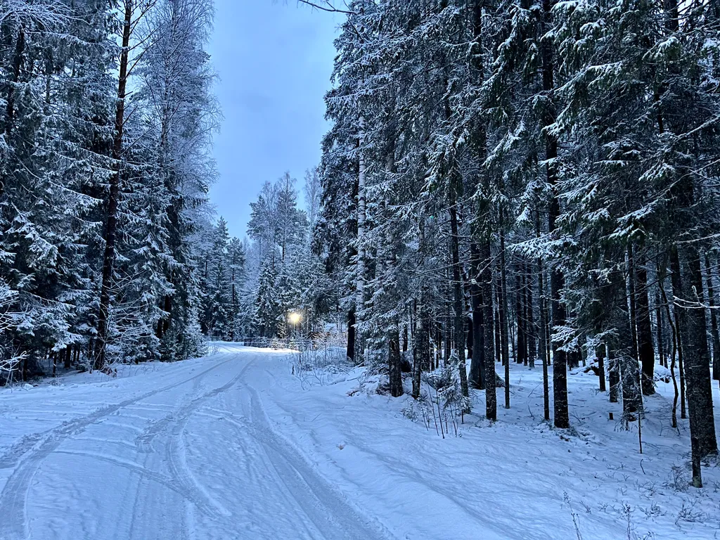 Коттедж Дизайнерский коттедж на берегу озера Волго на Селигере — Турбаза Чайка