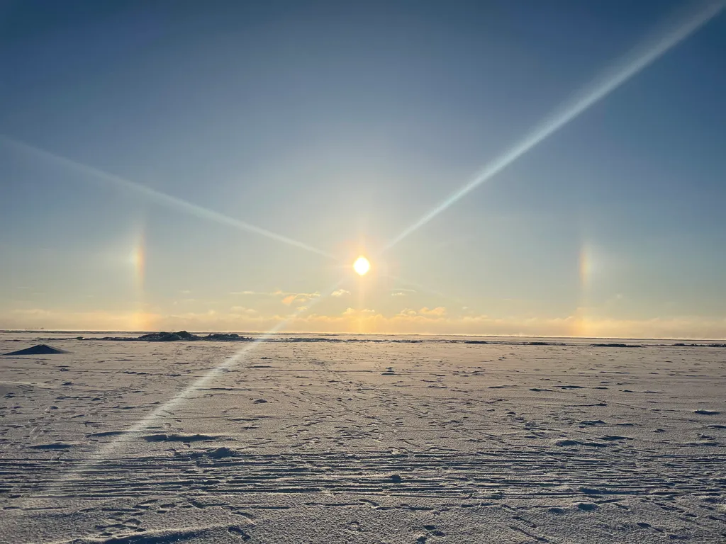 Домик в лесу