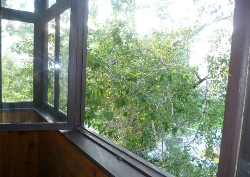 Квартира в центре Белокурихи