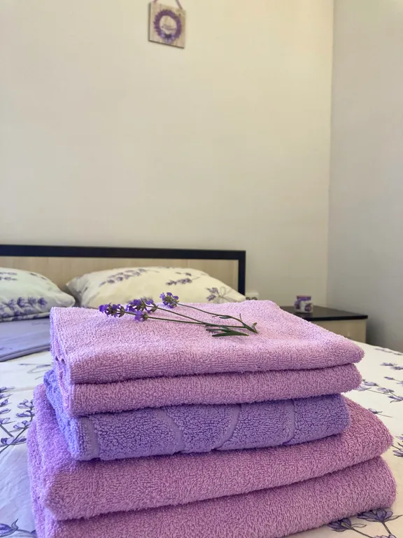 Квартира Комната — аренда посуточно в Должанская