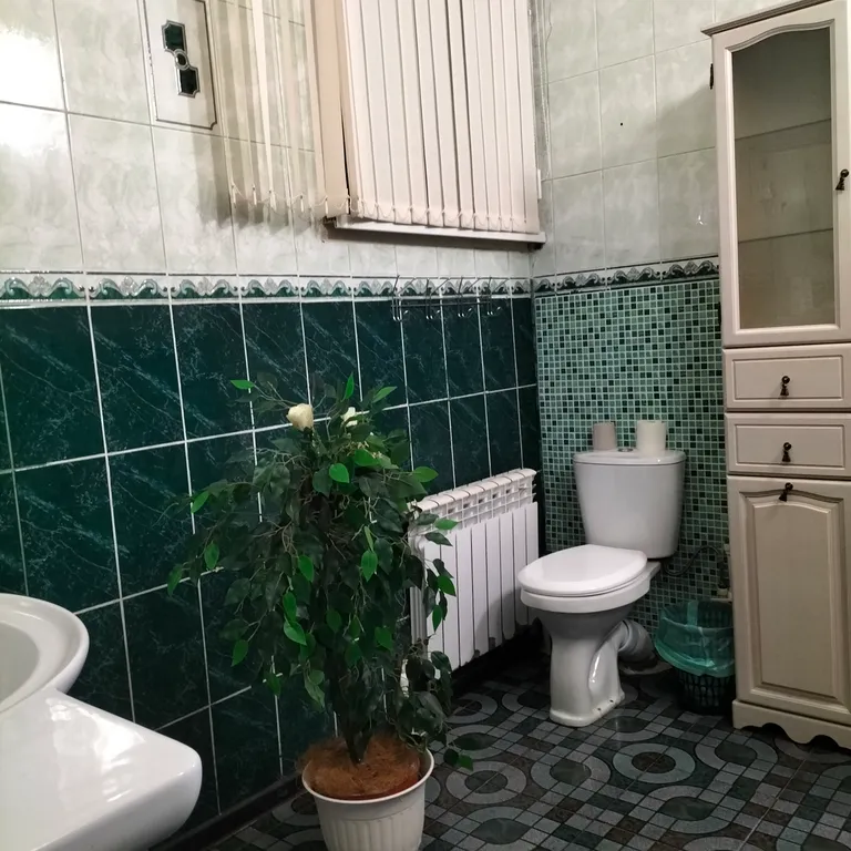 Дом - коттедж У Федота в черте города