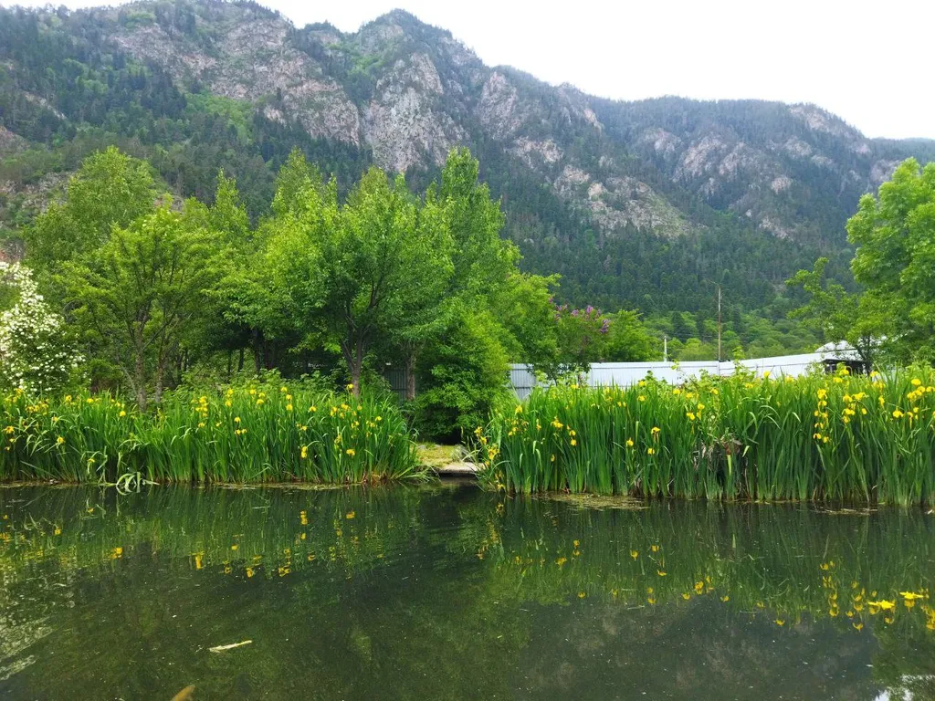 Коттедж Дом с баней и озером — Теберда