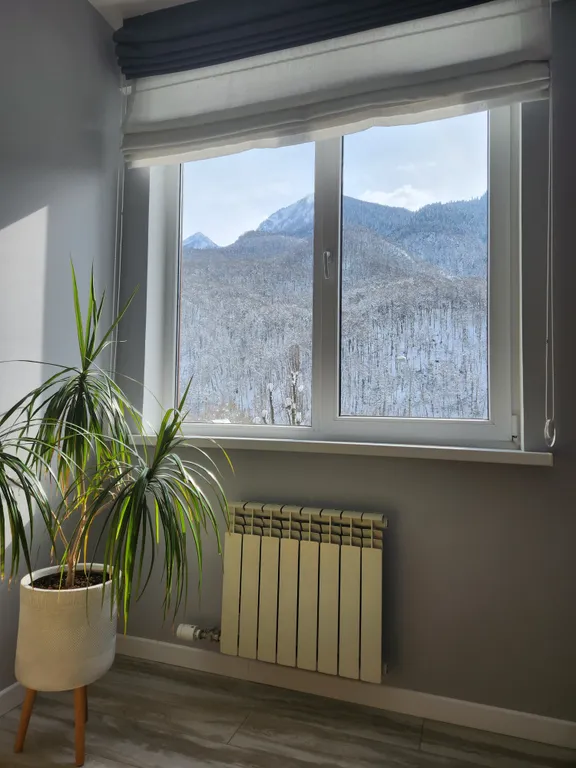 Уютная квартира с двумя отдельными спальнями и кухней-гостиной