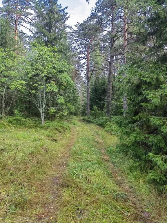 Рыбацкий хуторок