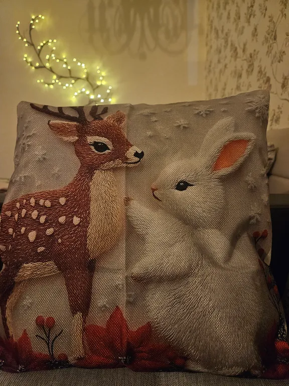 Видовая студия у СК Олимп