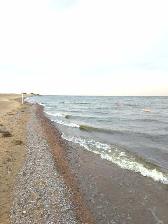 Комфортная студия вблизи Финского залива