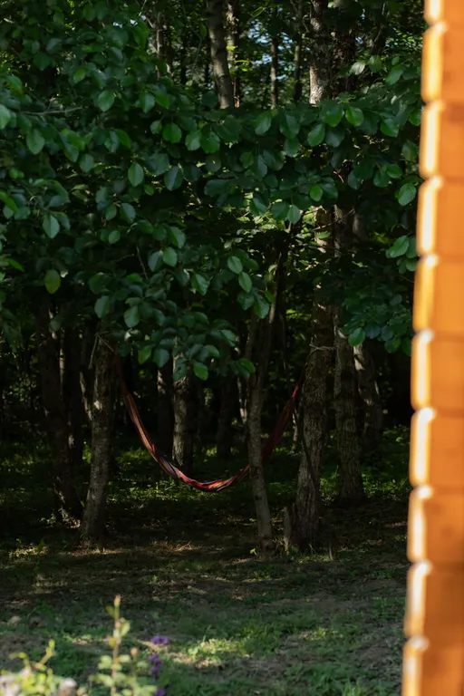 Коттедж 1-комнатный Дом — Сухум