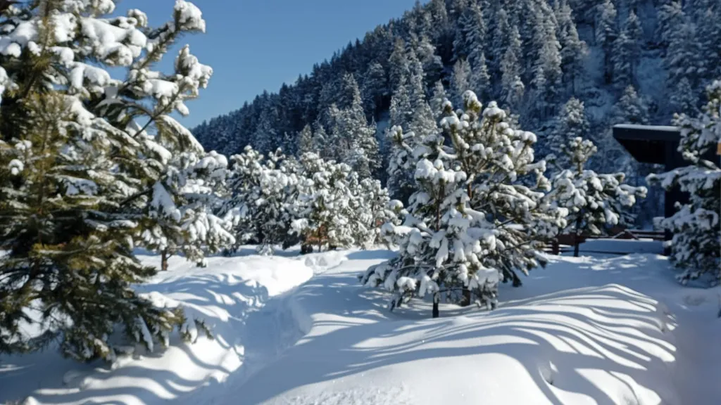 Дом с видом на горы