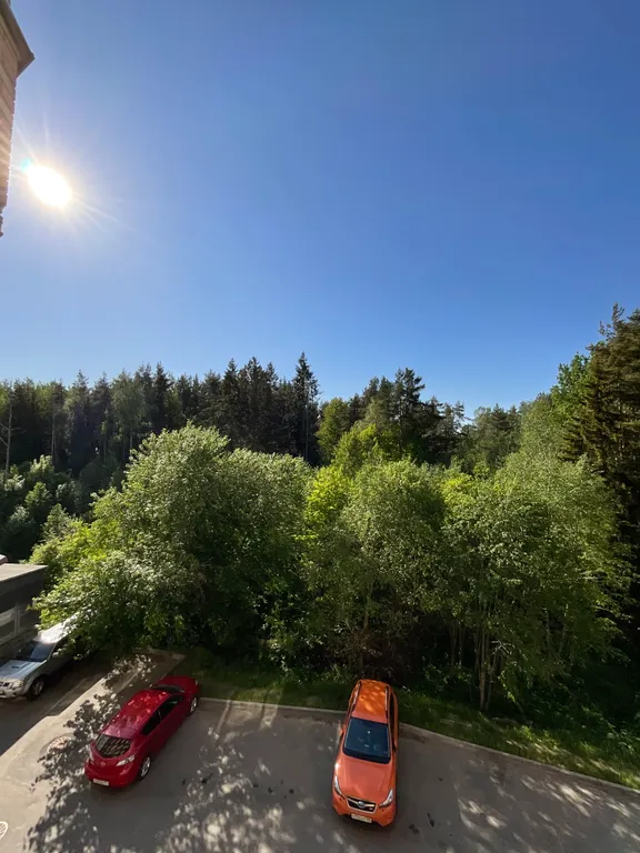 Квартира Комфортная квартира возле парка — Ломоносов