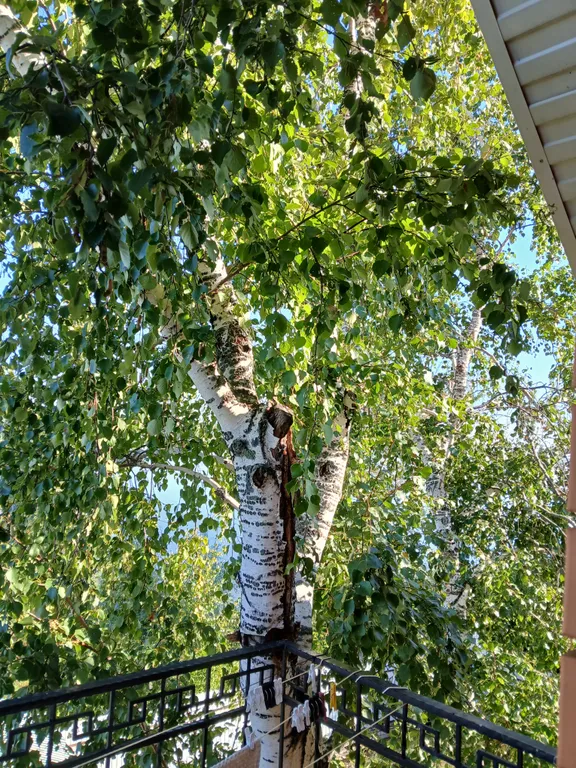 Домик у реки