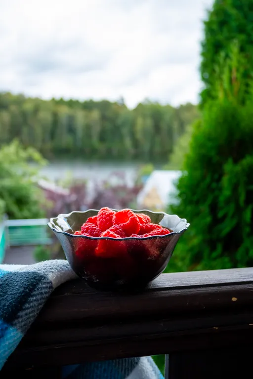 Коттедж на первой береговой линии с шикарным панорамным видом на озеро
