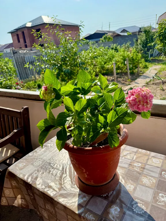 Дом с двором и беседкой в 7 минутах езды от пляжа