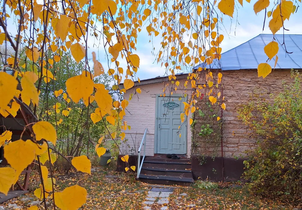 Дом в деревне на Дону в сосновом лесу
