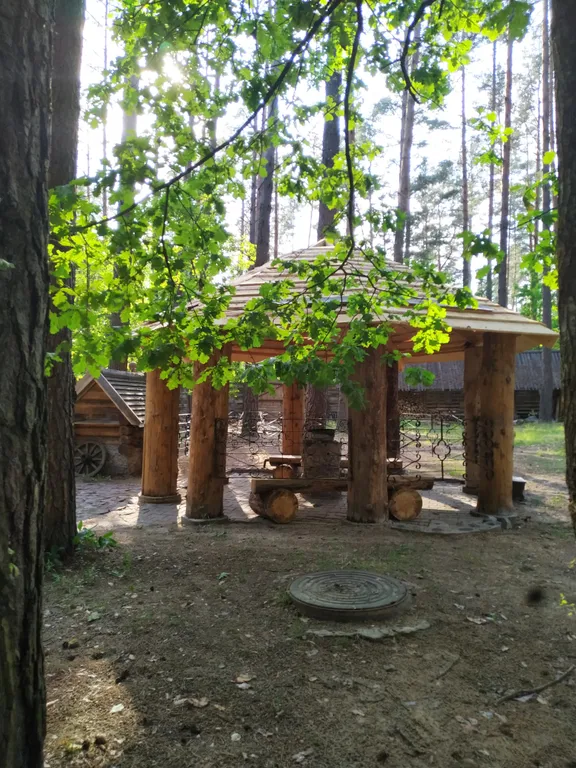 Дом в лесу на озере Селява