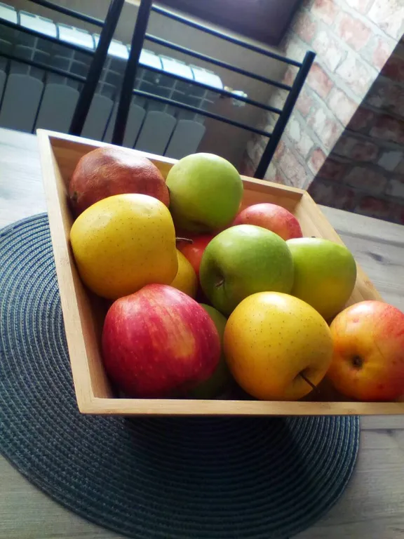 Apartment in the old town