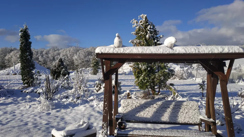 Апартаменты с камином