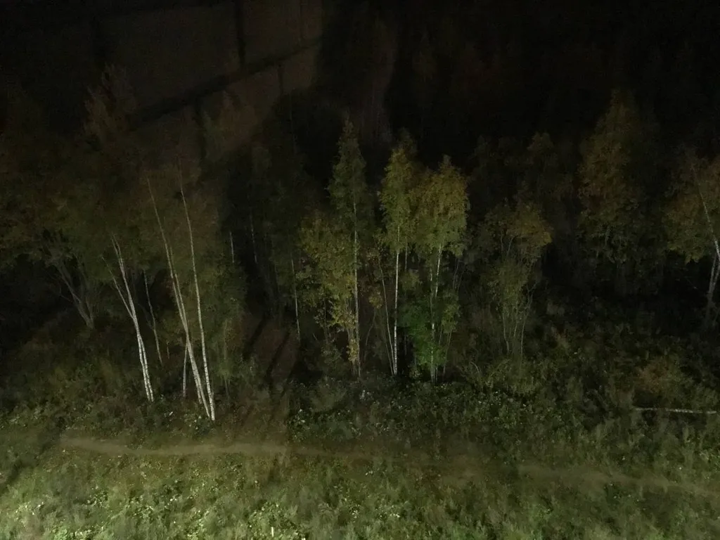 Квартира Квартира Живи в Песочном рядом с НИИ Петрова/Гранова/Напалкова — Песочный