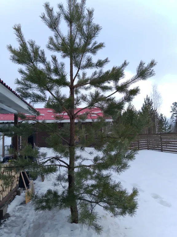 Уютный дом в Карелии