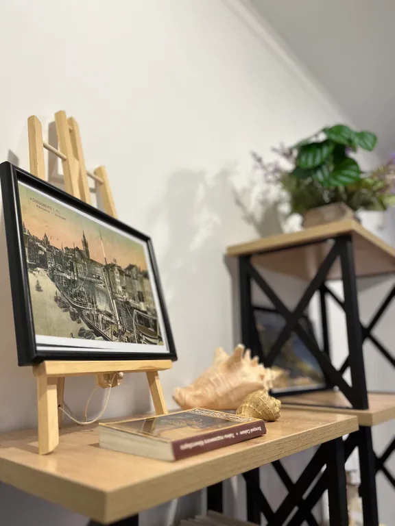 Квартира Квартира с качелями — Зеленоградск