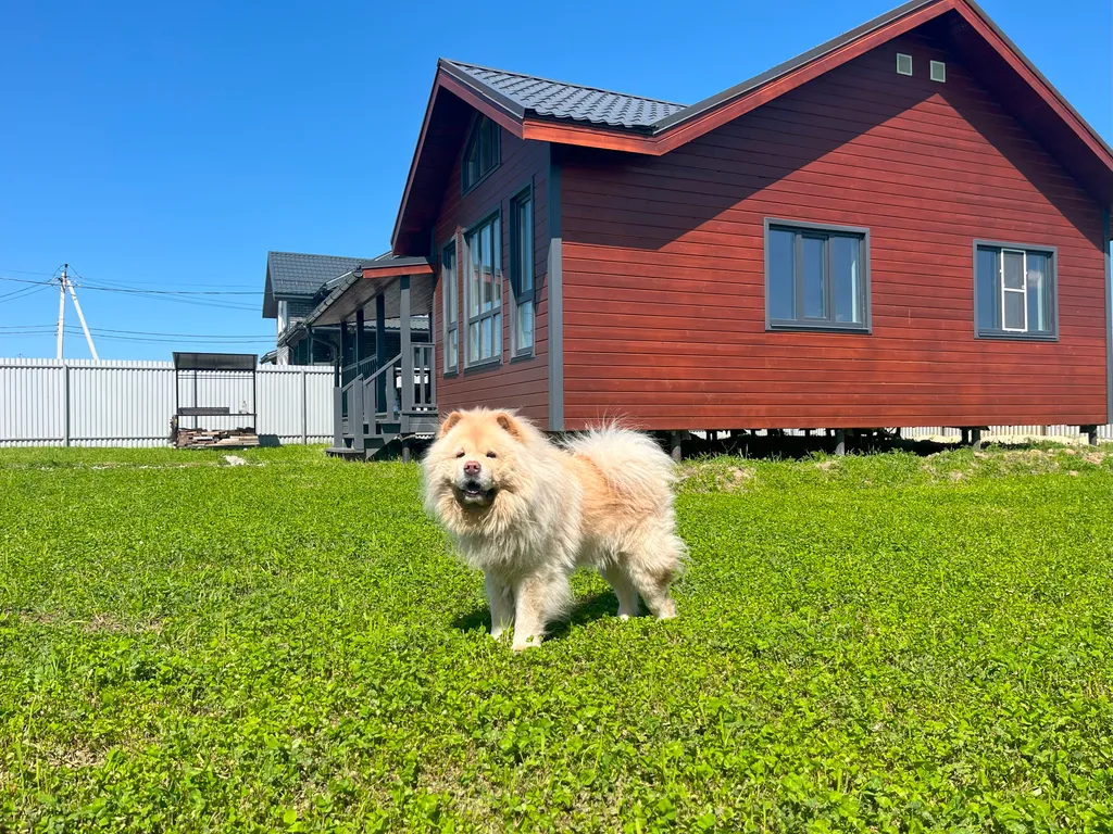 3-комнатный Дом