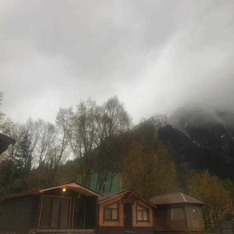 Эко домик 09