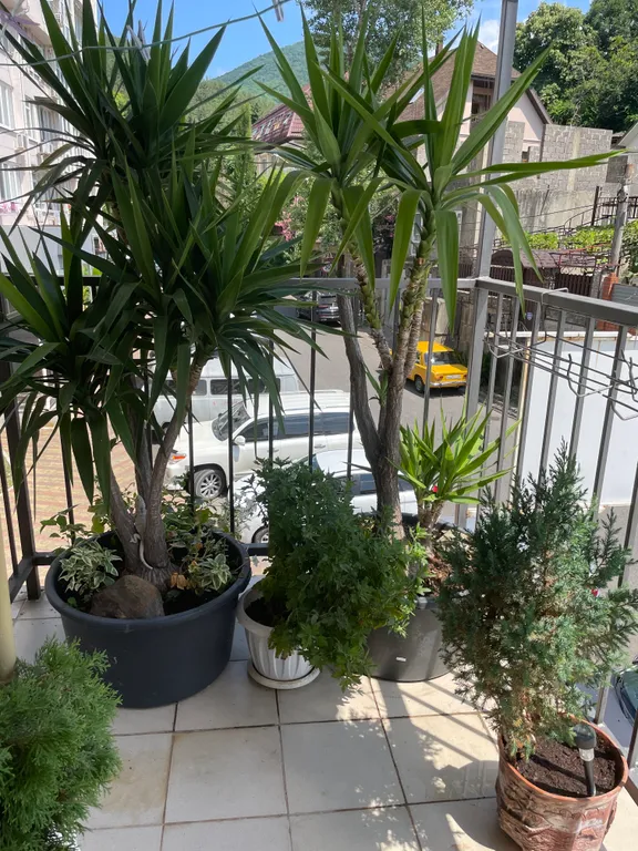 Квартира 1-комнатная Квартира — Лазаревское