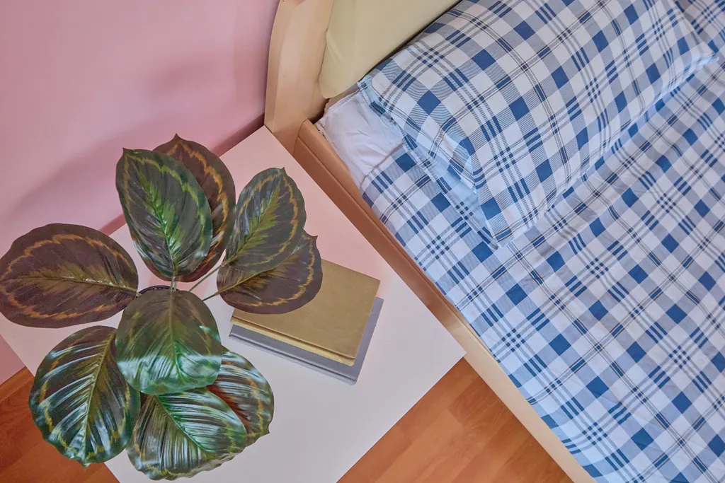 Просторная квартира на главной центральной улице города Томска