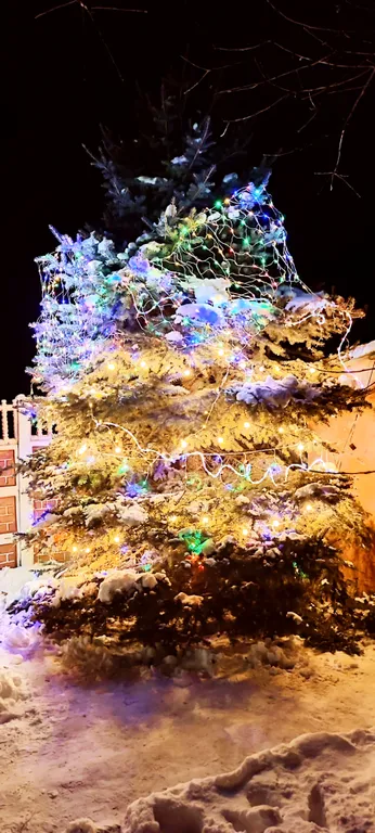 Гостевой домъ Обломовъ с видом на Волгу