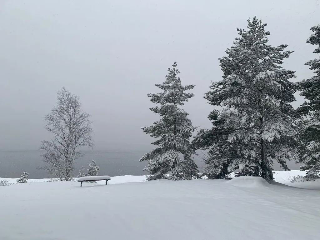 Коттедж Коттедж Семейный отдых на берегу Финского залива. — Санкт-Петербург