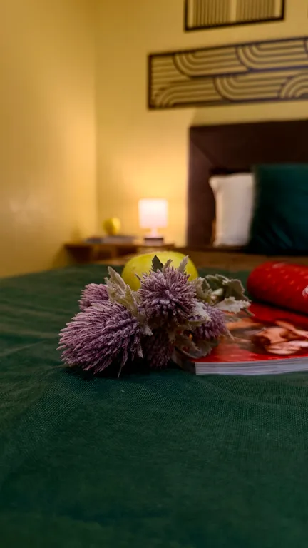 Апартаменты Африка