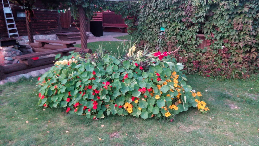 Домик с русской печкой и со всеми удобствами