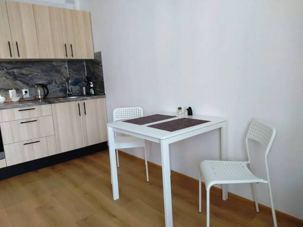 Квартира Квартира Уютная светлая студия в посёлкеПесочный — Песочный