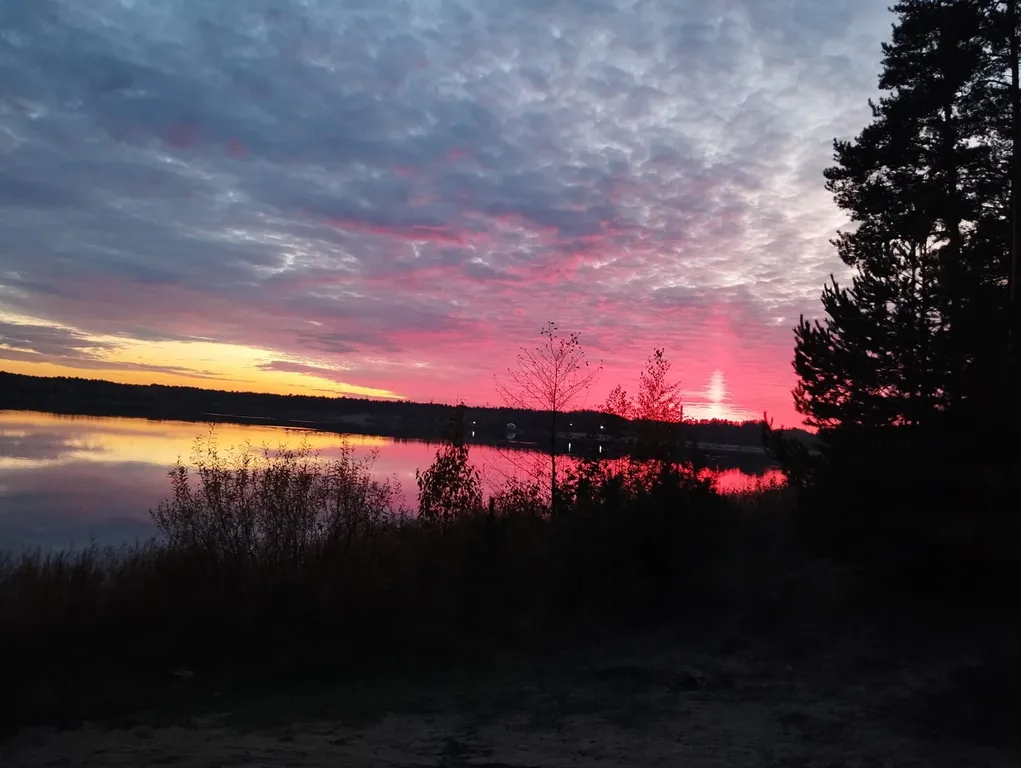 Дом в сосновом бору на озере