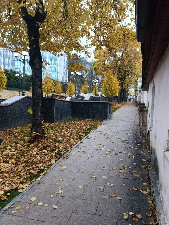 Уютная студия в самом центре города