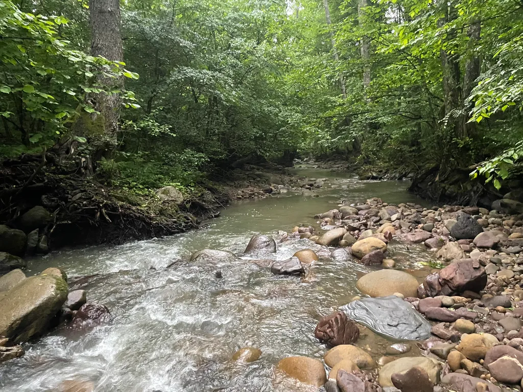 Уютный домик в сердце леса