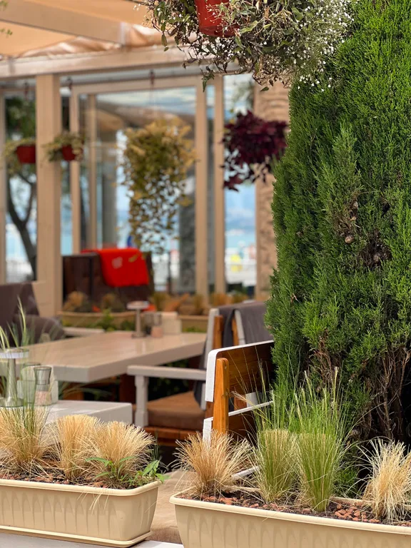 Видовая евротрешка