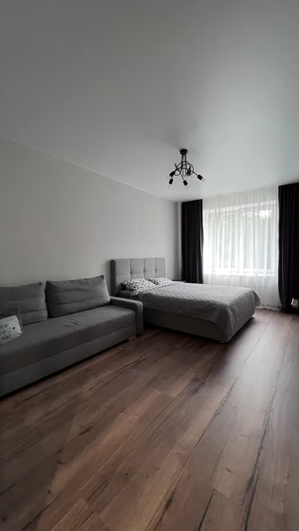 Уютная квартира с видом на лес Куршской косы