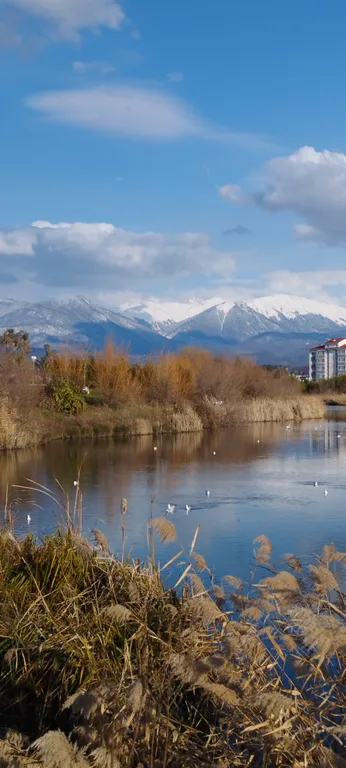 Квартира Уютная 1-комнатная квартира с видом на горы — Сириус