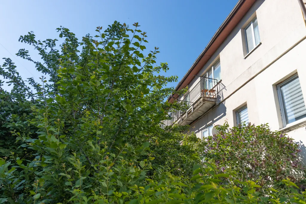 Апартаменты у моря