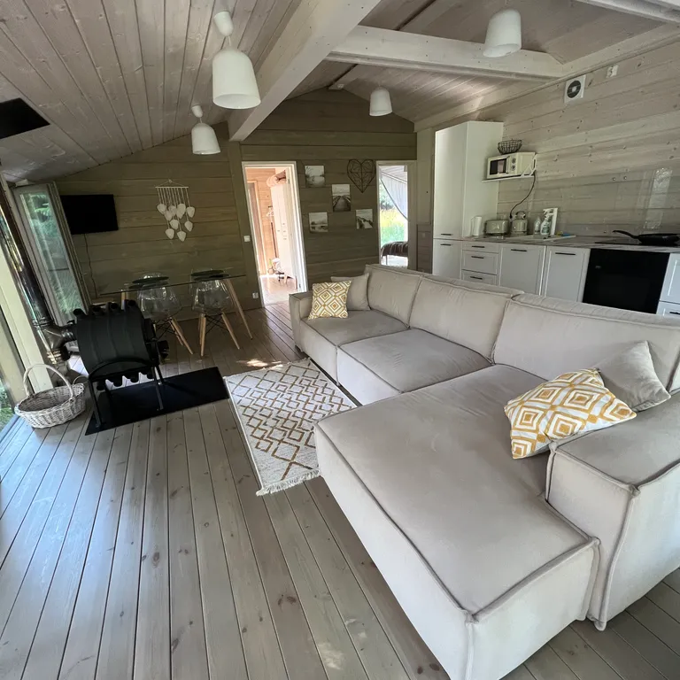 Коттедж Дубль дома с панорамными окнами на сосны — Семеновское