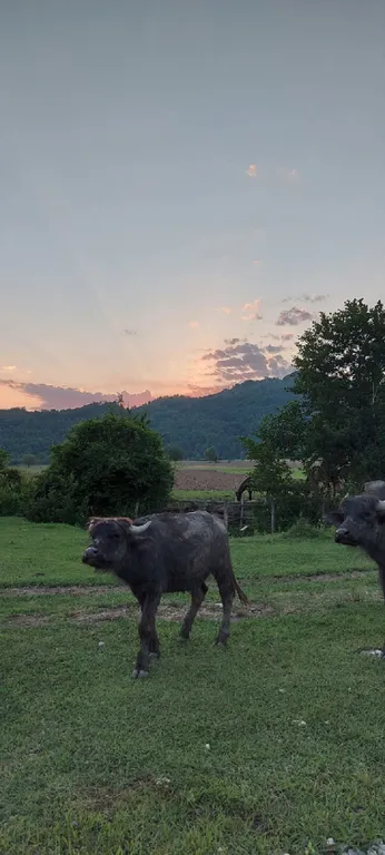 Дом для спокойного отдыха