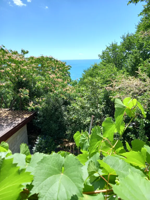 Коттедж у моря