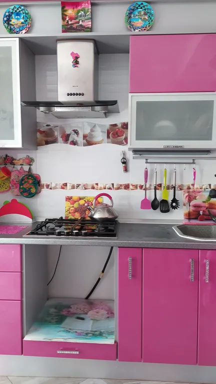 Однокомнатная квартира в курортном городе Светлогорск