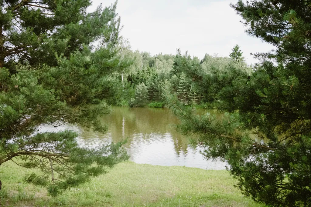 Загородный дом Парус с оленями