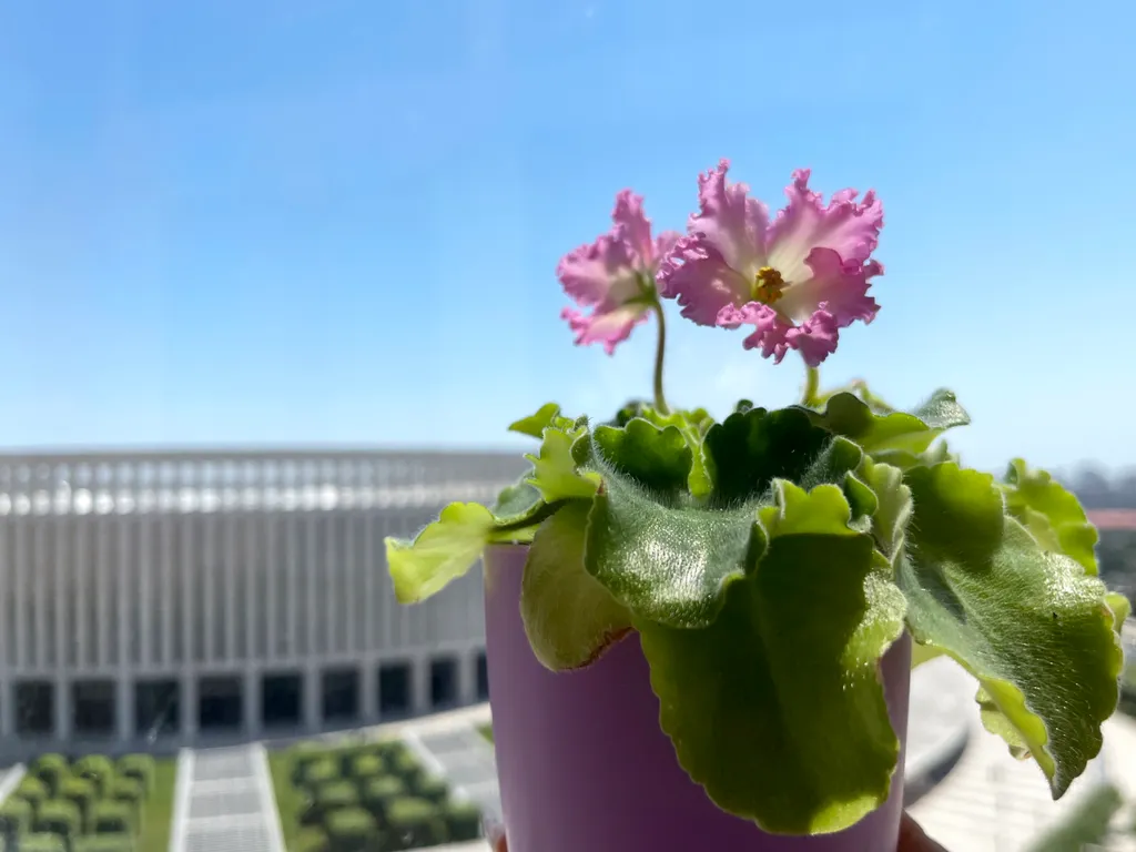 Уютная квартира с видом на стадион